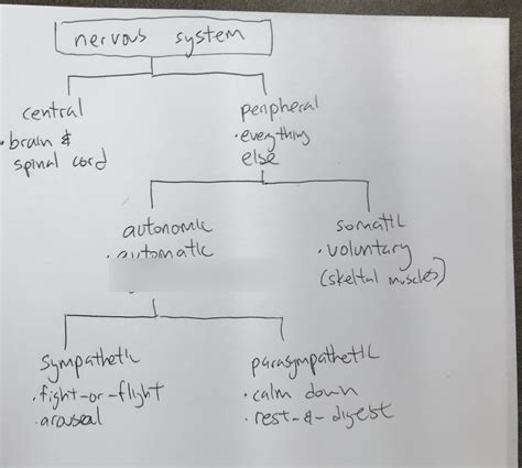 psy 101 exam 2 quizlet|psychology 101 test 2.